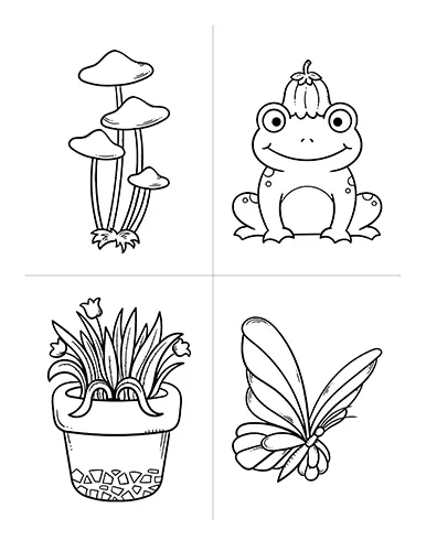 Plants and butterfly